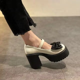 Lkblock Platform Mary Jane Shoes New Women's Shoes Fashion Bowknot Thick Heel Pumps Trendy Street Lolita Shoes Round Toe High Heels